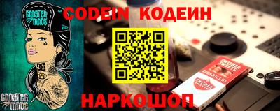 индика Камышлов