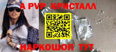 индика Камышлов