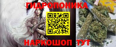 индика Камышлов
