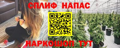 индика Камышлов