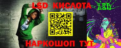 индика Камышлов