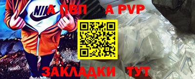 индика Камышлов