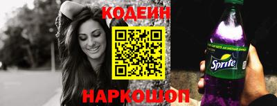 индика Камышлов