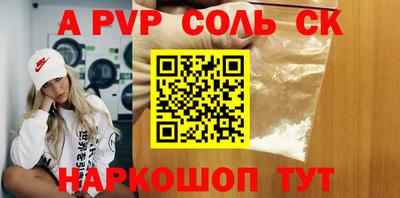 индика Камышлов
