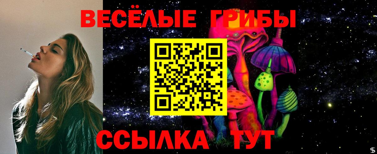 Шахты  Псилоцибиновые грибы прущие грибы  Галлюциногенные грибы прущие грибы  Вход с VPN 