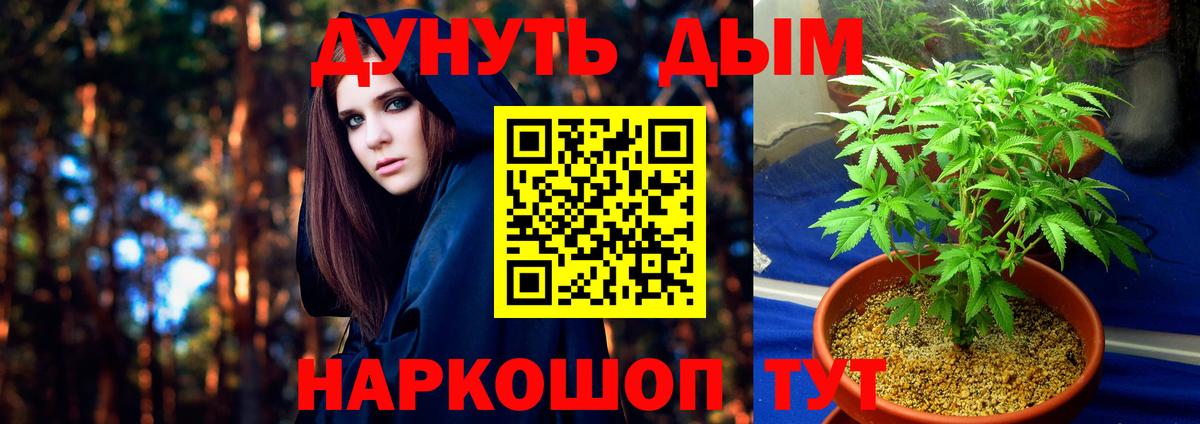 Бошки марихуана Ganja Шахты